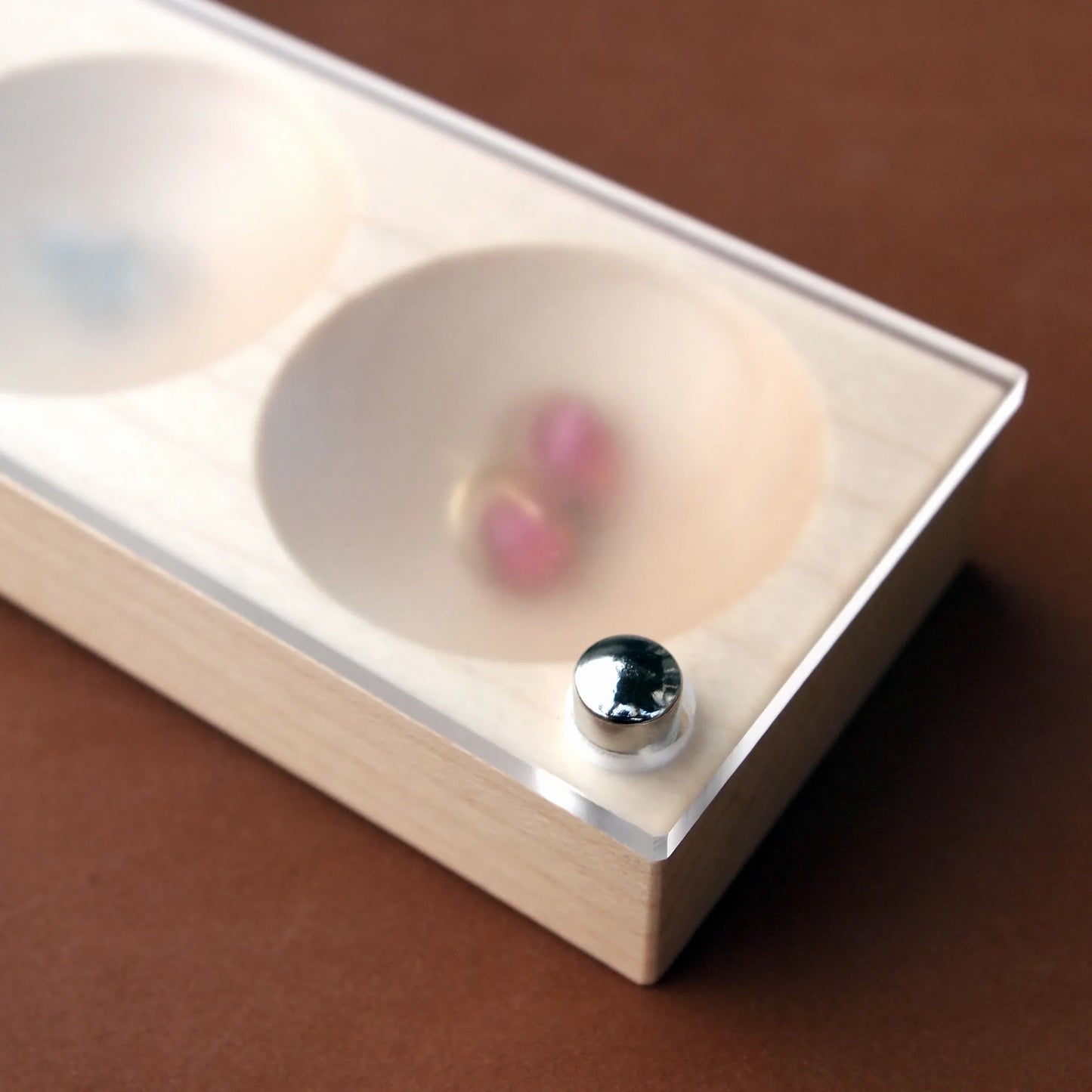 Jewelry Case (Earrings)