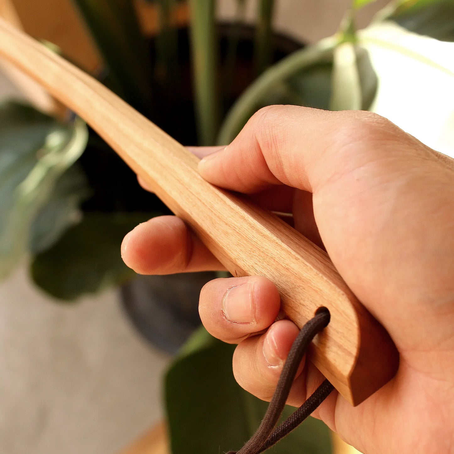 Shoehorn & Stand Set