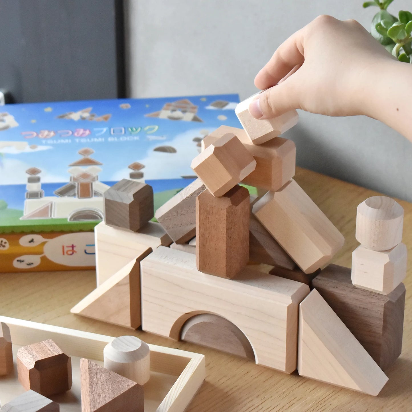 Tsumi-Tsumi Blocks (L size 42-piece)