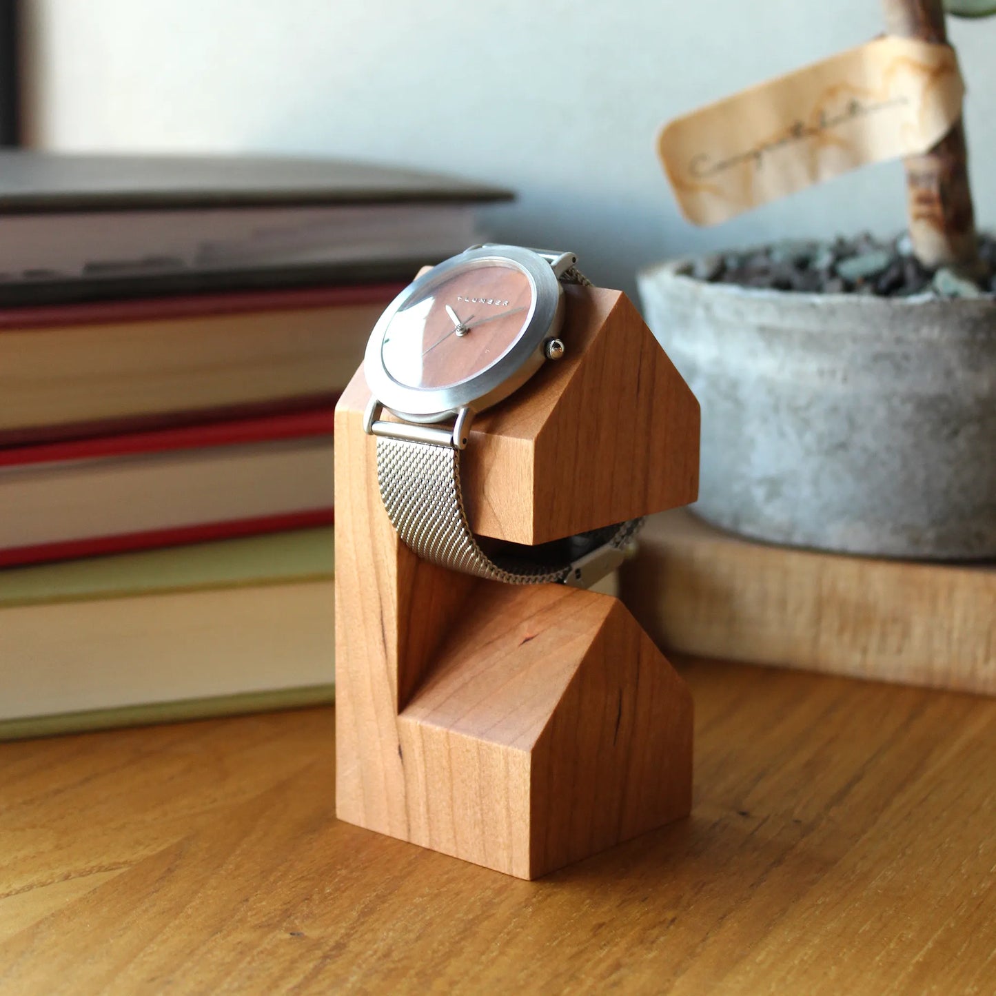 WatchStand House