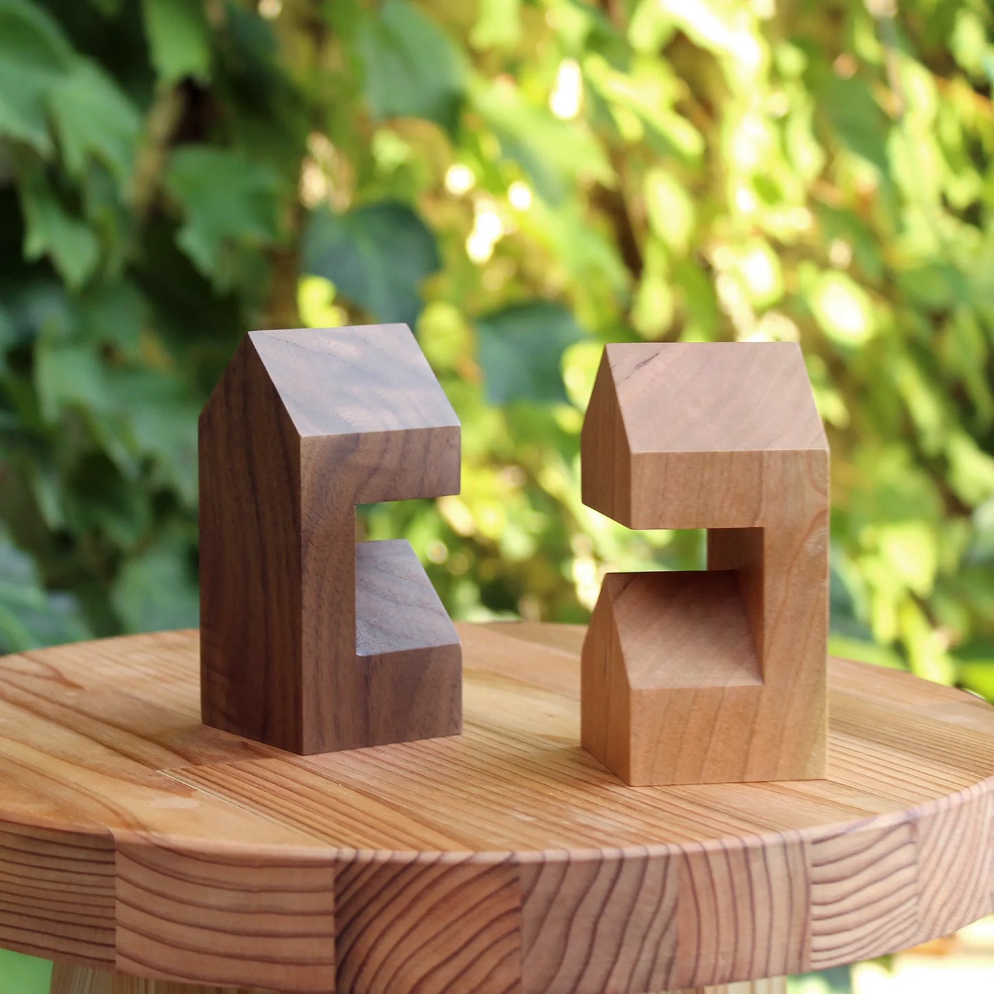 WatchStand House