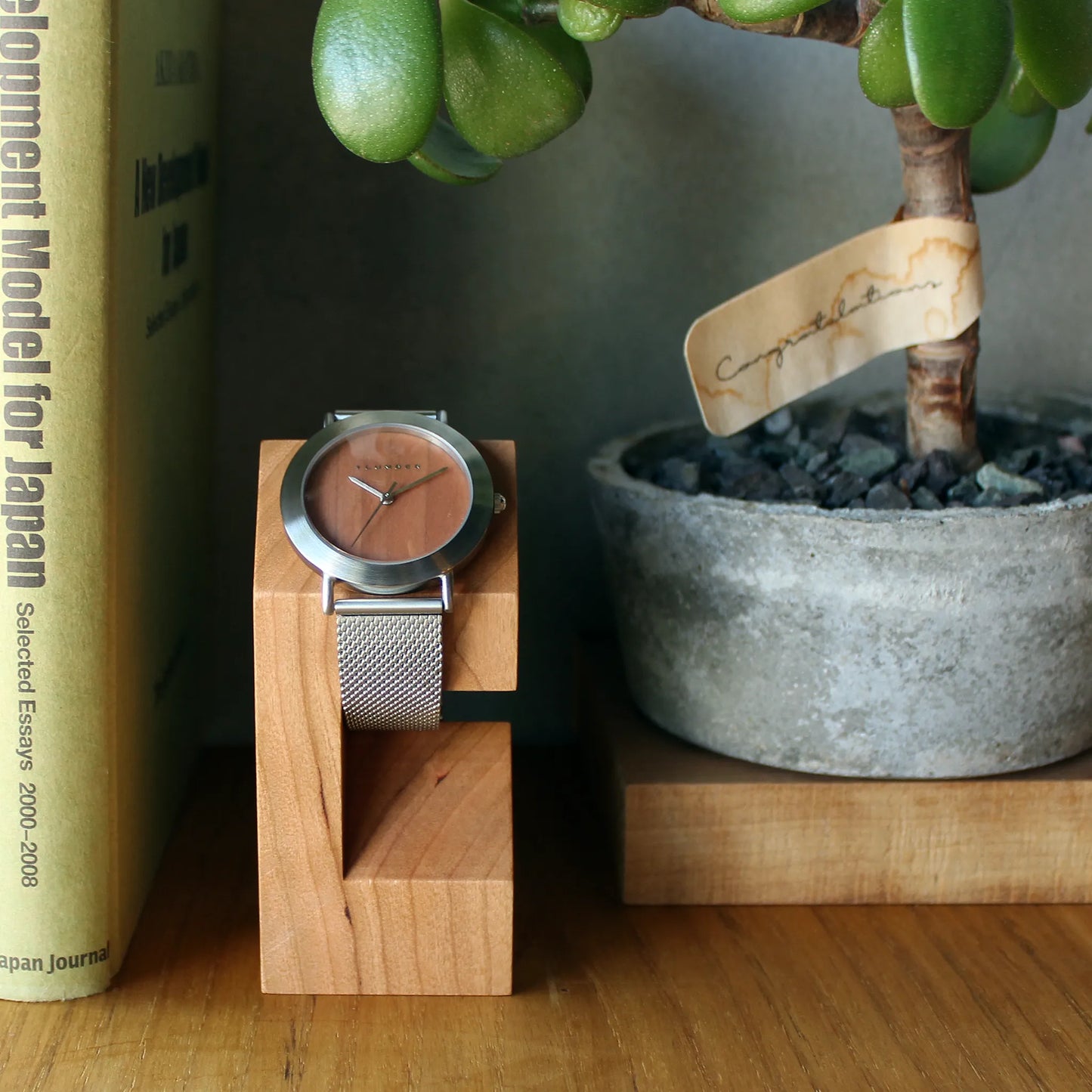 WatchStand House