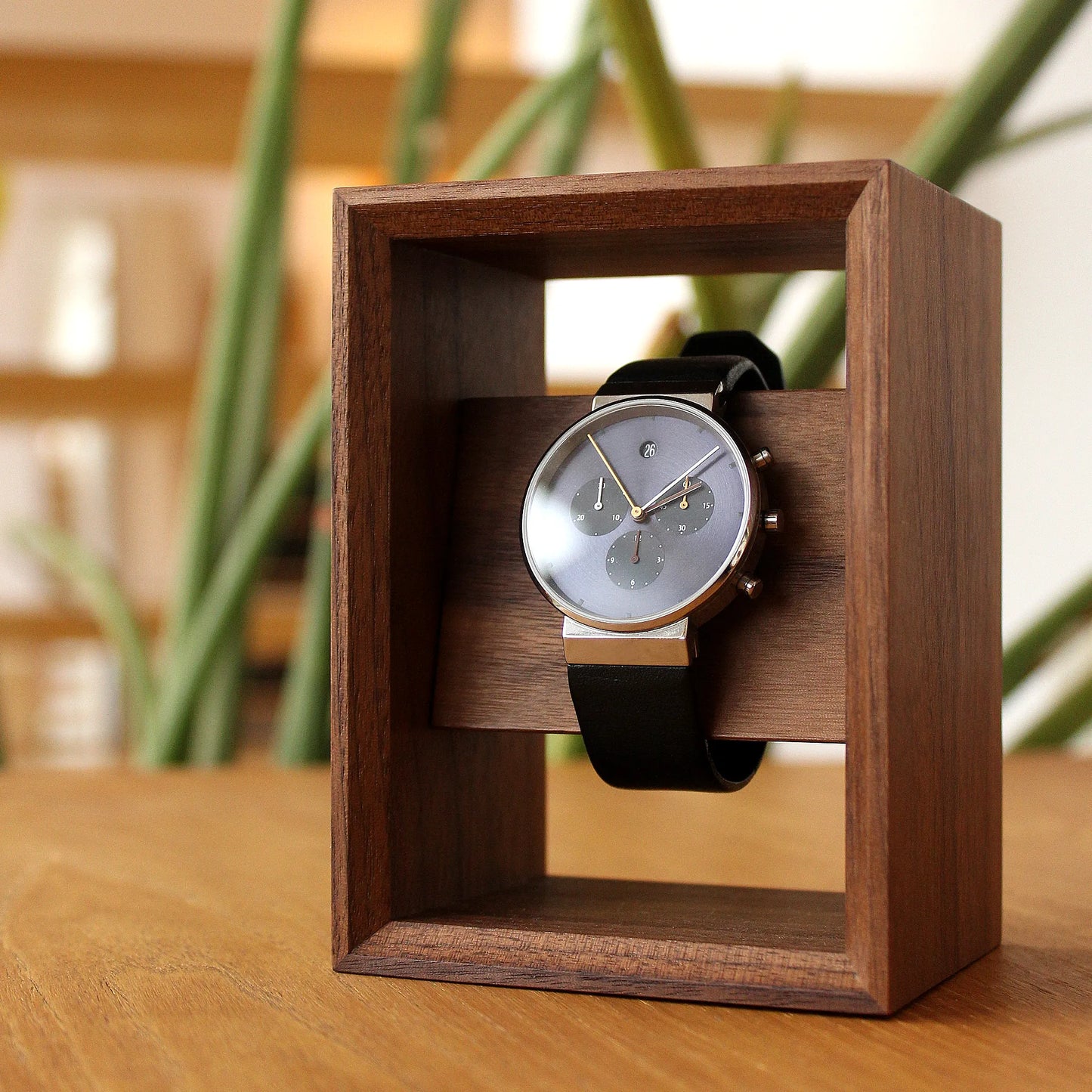 Display Frame for Watch