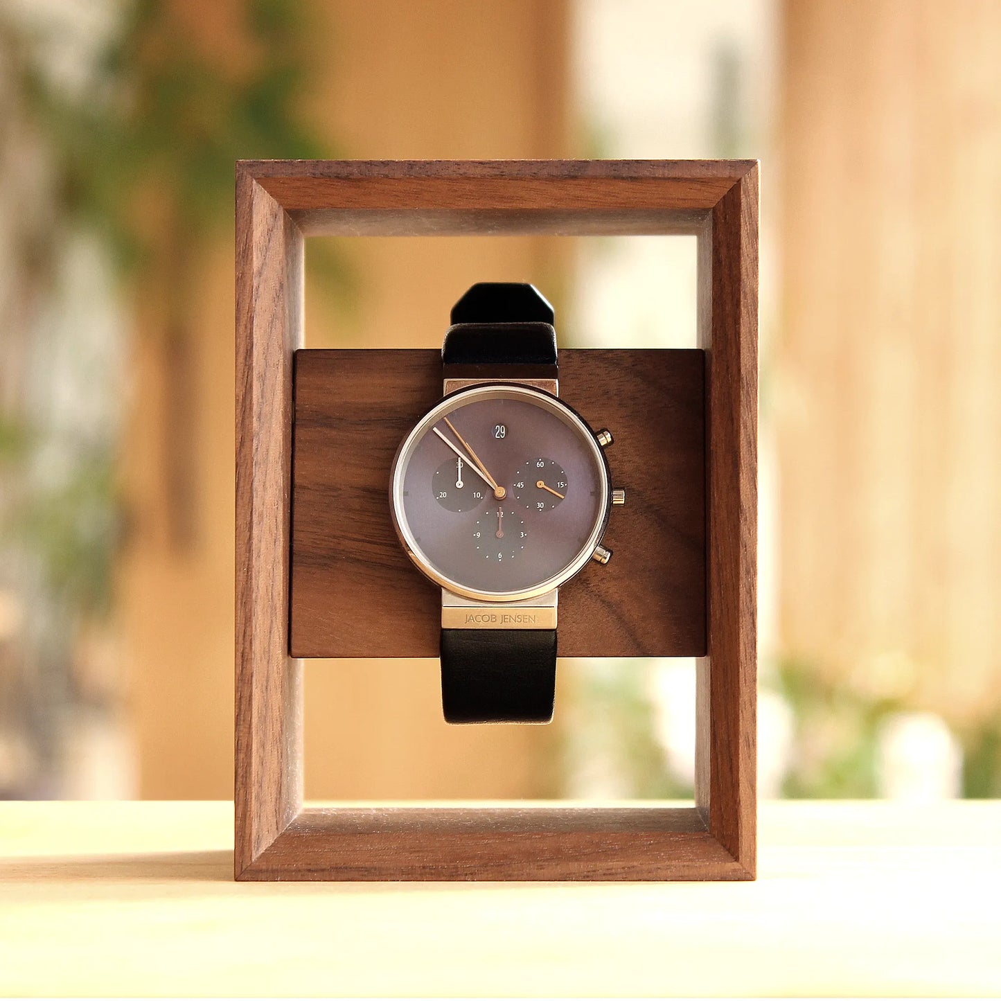 Display Frame for Watch