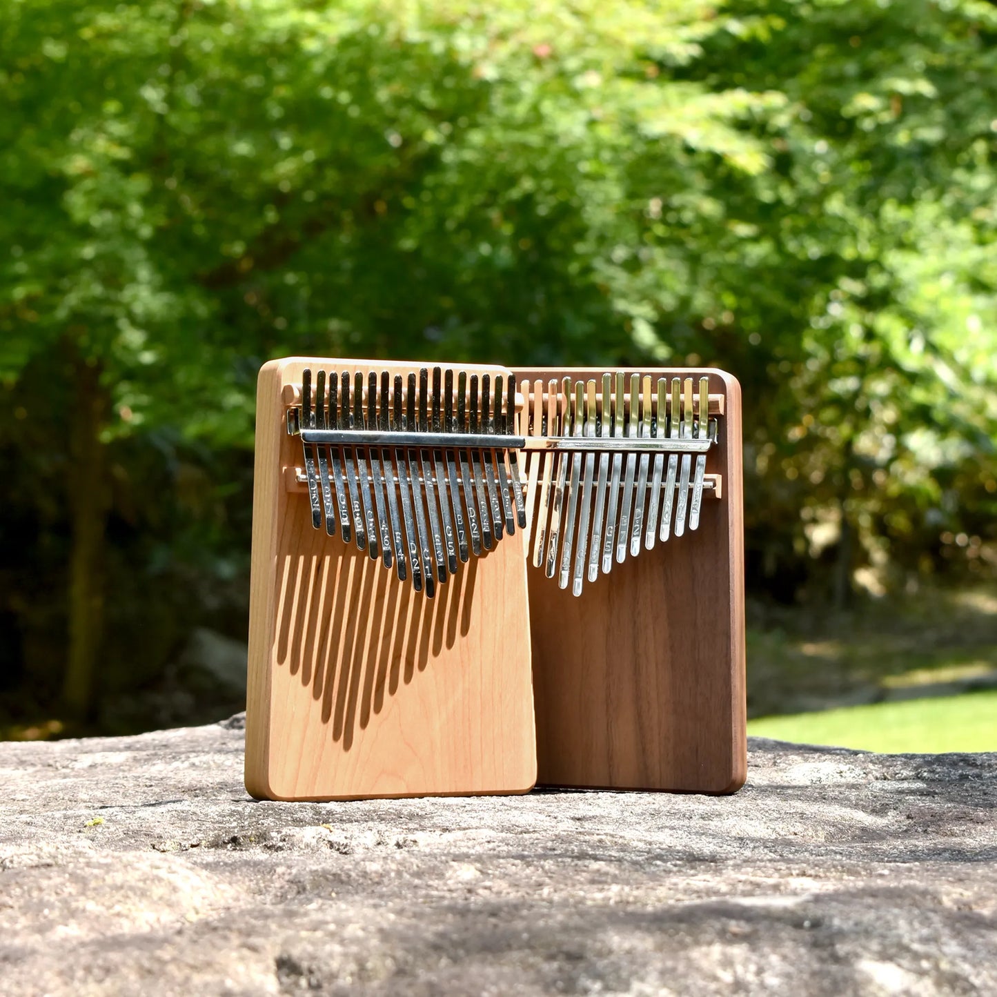 Kalimba Solid