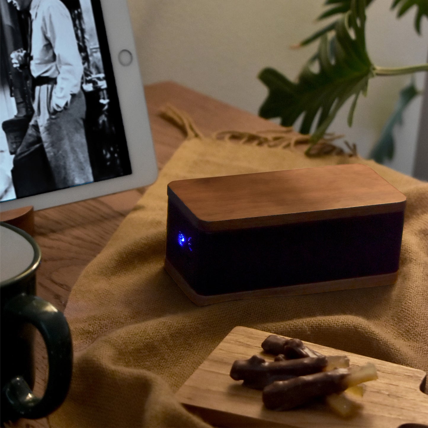 MOBILE SPEAKER